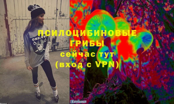 прущие грибы Дмитровск