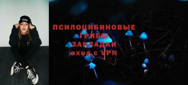 гидра Гусиноозёрск