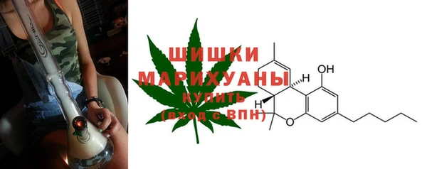 гидра Гусиноозёрск