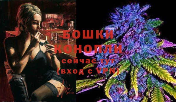 гидра Гусиноозёрск