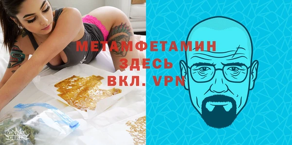 прущие грибы Дмитровск