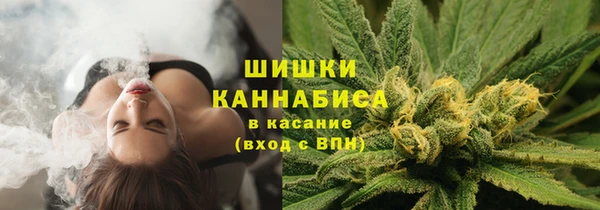 не бодяженный Дмитров