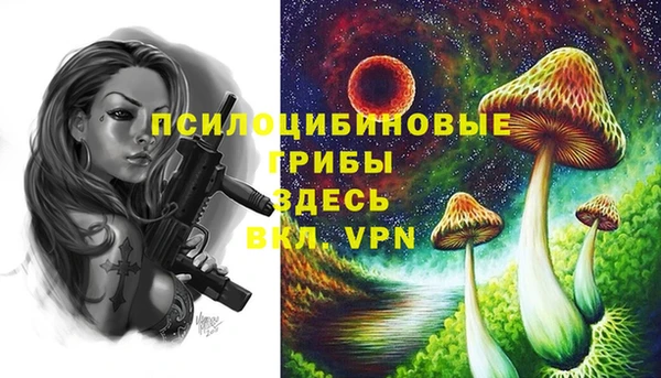 гидра Гусиноозёрск
