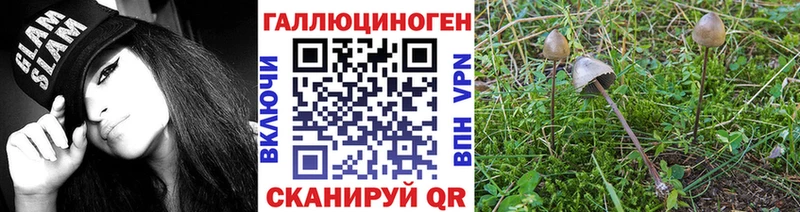 наркошоп  гидра зеркало  Псилоцибиновые грибы Cubensis  Новомосковск 